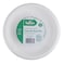Falcon Bagasse Round Plate 9inch 10 PCS