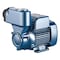 PEDROLLO PKM60 .37KW PUMP