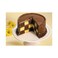 Wilton Checkerboard Cake Pan Set Grey 4 PCS