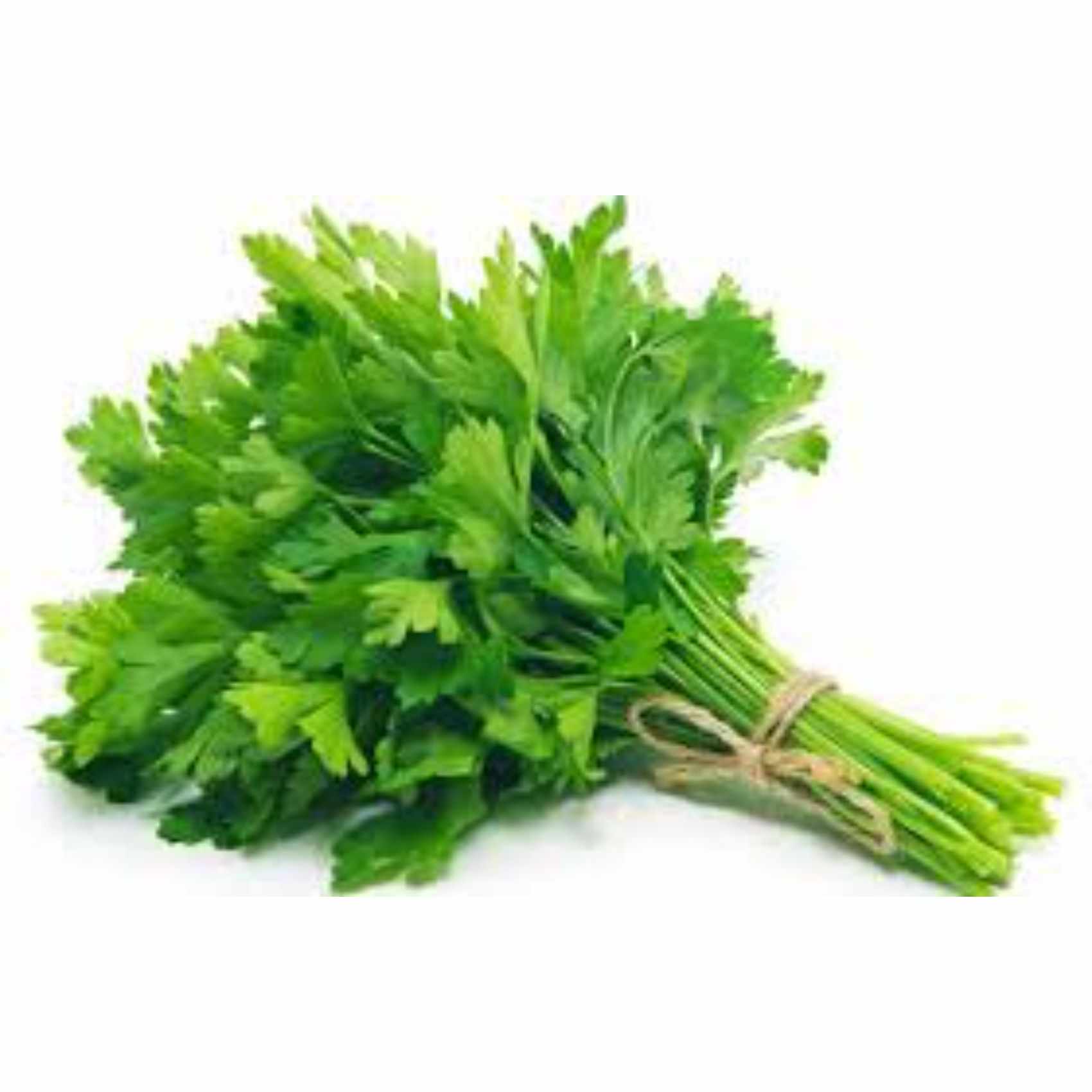 Premium Coriander Herbs (Dhaniya)