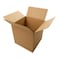 Expert Plain Carton Large 533*300*280MM