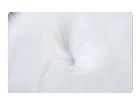 Super Soft Double Sided Plush Panda Throw Pillow Made With Rabbit Fur (Size 56&times;50CM)