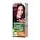 Garnier Color Naturals Creme Nourishing Permanent Hair Colour 3.61 Luscious Blackberry