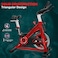 SKY LAND Exercise Spin Bike, Stationary Bike for Home, Indoor Cycling with Belt Drive, Heavy Flywheel, Exercise Bike for Home with Smart App And Silent Operation - EM-1567