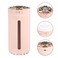 Air Freshener HIgh QuaIity Modern Technology Advanced Home Car Humidifier 2W/300ml For Car Humidifier Perfume