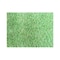 Carrefour Artificial Turf Green 1x4m