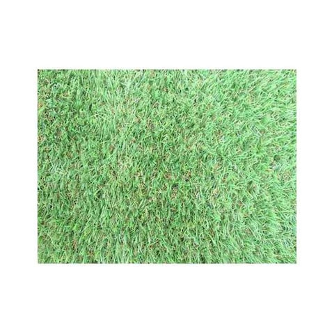 Carrefour Artificial Turf Green 1x4m