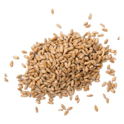 Eva Dried Wheat