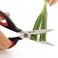 Herb Shears Cosmo 22 cm - Assorted Colour