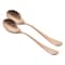 FNS URBANA D/SPOON COPPER MATT 2PC