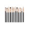 طقم من 12 فرش مكياج احترافية أسود - 12-Piece Professional Makeup Brush Set Black