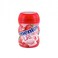 Mentos Pure Frish Gum Strawberry Flavour 17.5 Gram