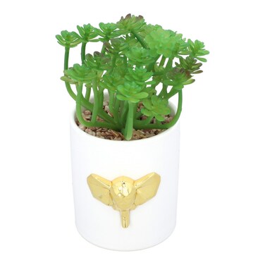 Artifical Decor Plant