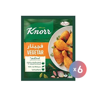 فاين فودز كنور توابل فجيتار - 35 جرام * 6 أكياس