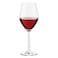 Ocean F2 3026R15 Sante Red Wine Glass