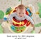 Pikkaboo Musical Frog Baby Jumperoo