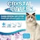 Silica Gel Cat Litter 4.15 Kg Plastic Bag