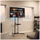 Mobile TV Cart with Wheels for 32-65 Inch LCD LED Plasma Flat Screen TVs- Height Adjustable Rolling TV Stand