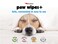 Petkin Pet Wipes - 100ct