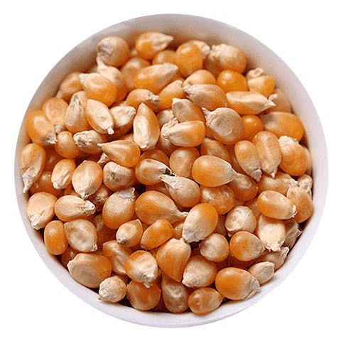 Eva Pop Corn Kernels