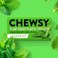 Chewsy Spearmint Chewing Gum 15gr