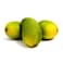 Saroli Mango