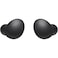 Samsung Galaxy Buds2 Noise-Canceling True Wireless In-Ear Headphones - Graphite (SM-R177)