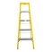 Carrefour Ladder