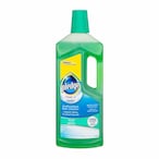 Buy Pledge Fresh Multi-Surface Floor Cleaner - 750 ml in Egypt