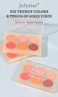6 Color Face Contour Portable Makeup Blush Palette Long-Lasting Blush Powder Easily to Blend for Lasting Blusher Glow