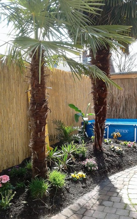 Bamboo Reed Fence/Privacy Fence (1mtr x 6mtrs)