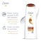 Dove Nutritive Solutions Nourishing Oil Care Shampoo 400ml Pack of 2