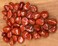 Vsell24 Polished Red Stone Pebbles, 2-4 cm, for Plants, Decor, Aquariums, Vases, Gardens, Landscaping, 20Kg