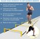 ULTIMAX Speed and Agility Ladder 2-in-1 Speed Hurdles Ladder with Hurdles Training Ladder speed Hurdle