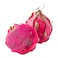 Dragon Fruit Red Flesh
