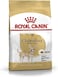 Royal Canin Bhn Chihuahua Adult 1.5 Kg Breed Health Nutrition Dog Food, Multicolor, 02Rcch1.5, Chihuahua Adult Dog Dry Food