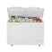 Haier Inverter Deep Freezer BD-385H DD