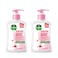 Dettol Skincare Liquid Handwash Pump Rose &amp; Sakura Blossom Scent 200mlx2 pieces