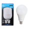 Sky Led Eco Bulb B22  240 V