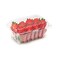 Strawberry Large Basket