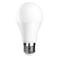 ICC BULB AC175-265V E27 9W