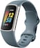 Fitbit Charge 5 Fitness &amp; Health Tracker (Steel Blue / Platinum Stainless Steel)