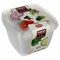 Snips Classic Fresh Container - 1 Liter - 3 Count - Clear