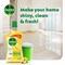 Dettol Lemon 3X Power Antibacterial Floor Cleaner, 900ml