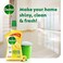 Dettol Antibacterial Floor Cleaner Fresh Lemon Scent, 900ml