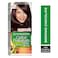 Garnier Color Naturals Cr&egrave;me Nourishing Permanent Hair Color, 4.15, Brownie Chocolate