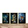 Aiwanto 3Pcs Wall Pictures Wall Art Frames  Butterflies Wall Picture Wall Decoration Photos Wall Frame
