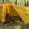 Dominance Natiotnal Geographic Tent for 6 Person