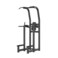 Harley Fitness Re Series Vertical Knee Raise Dip