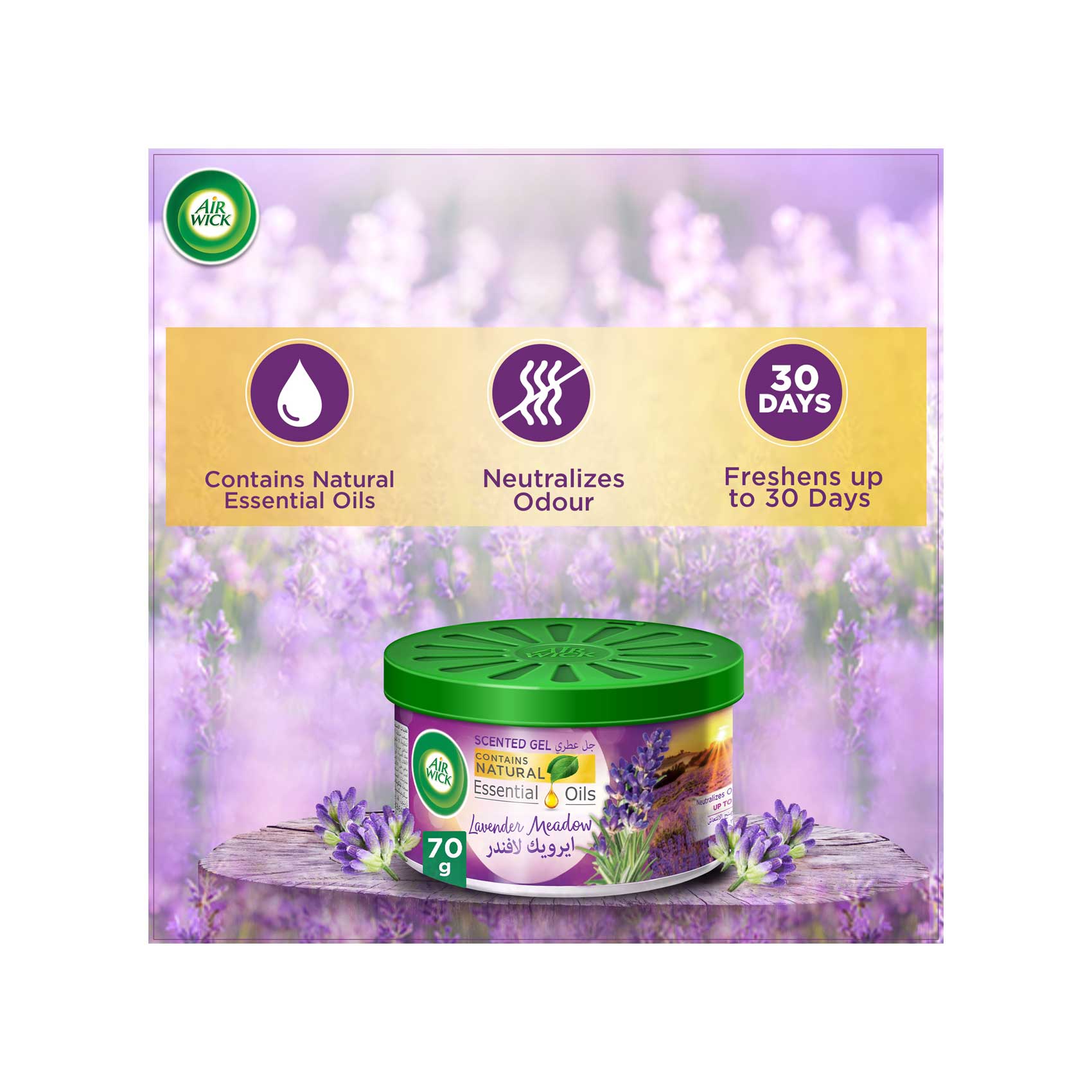 Air Wick Scented Gel Can, Lavender Fragrance, 70g